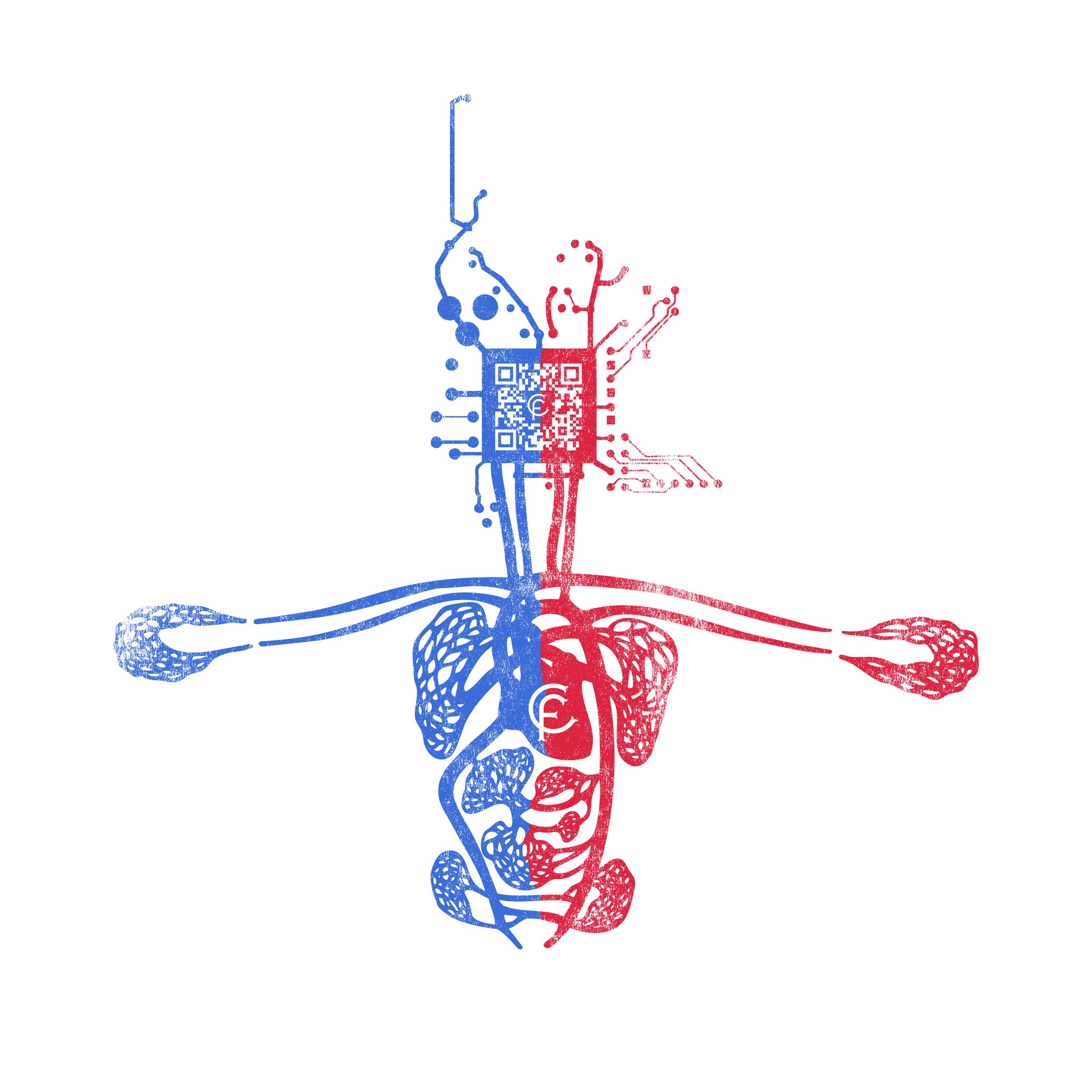 Crypto Nervous System