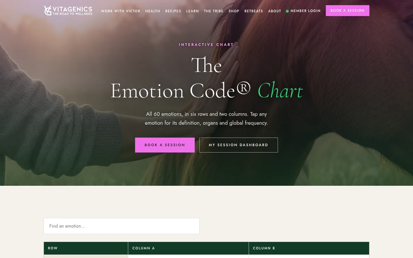 Vitagenics — Emotion Code chart