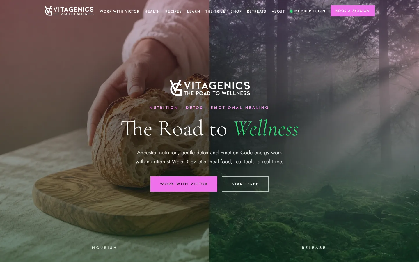 Vitagenics website